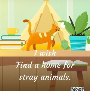 Meet your Posher, Shoela